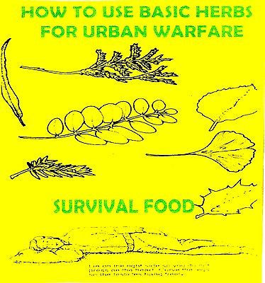 How to use basic herbs for urban warfare  +FREE CD!